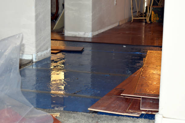 Professional Basement Flood Cleanup technician working in Pulaski, MS